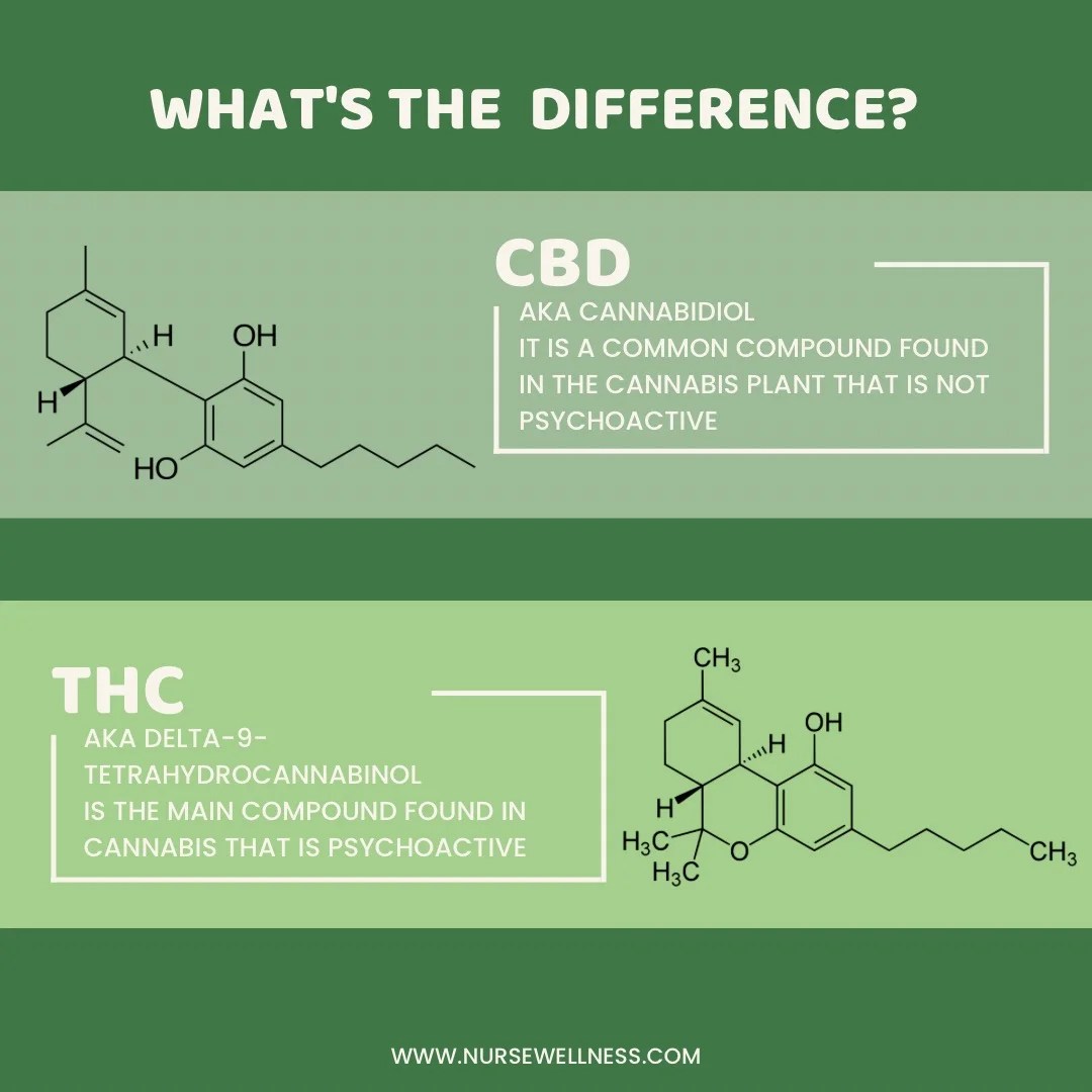 CBD vs THC for Pain Relief Nurse Wellness
