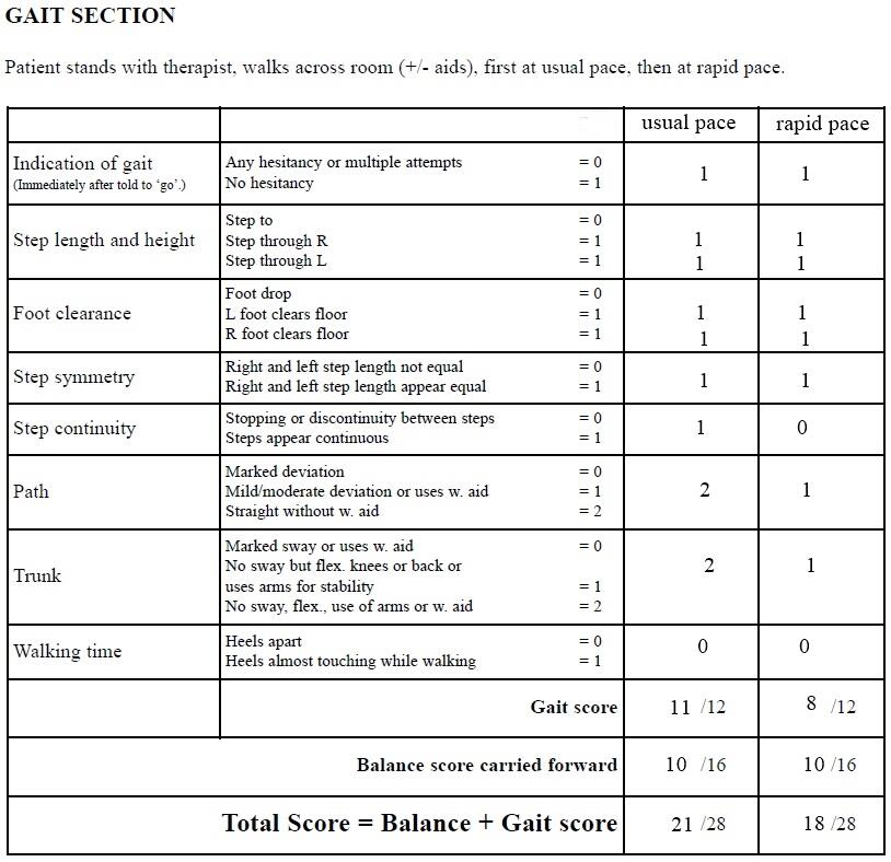 Elderly Person Assessment and Care Planning Healthcare Paper Example