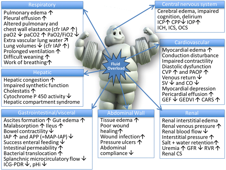Nursing Interventions for Sepsis: Fluid Management