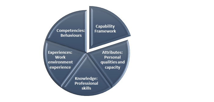 Capability Framework Nursing Education Network