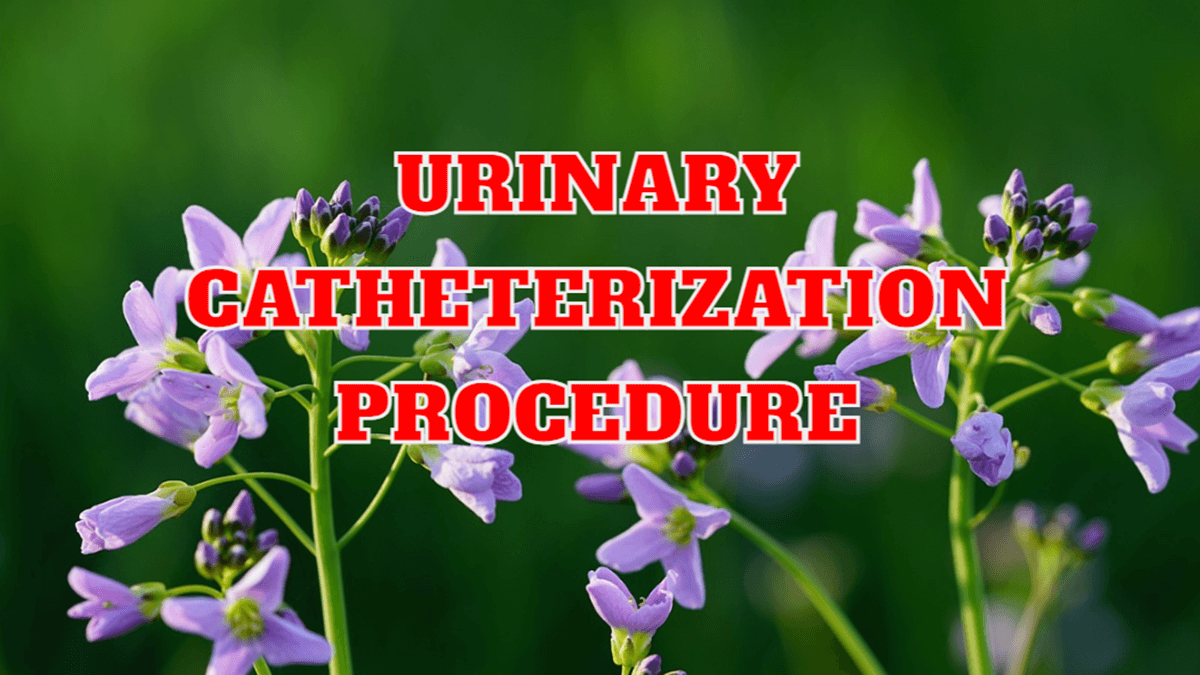 Understanding Urinary Catheterization Procedure and pdf NursingNotes