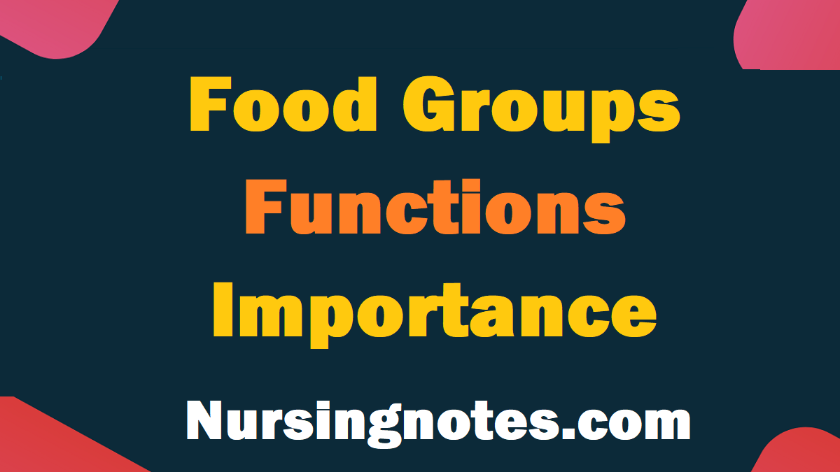 The 5 Food Groups their Functions, Importance and Examples NursingNotes