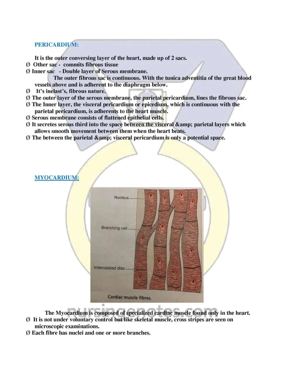 Anatomy and Physiology The cardiovascular system Nursing notes