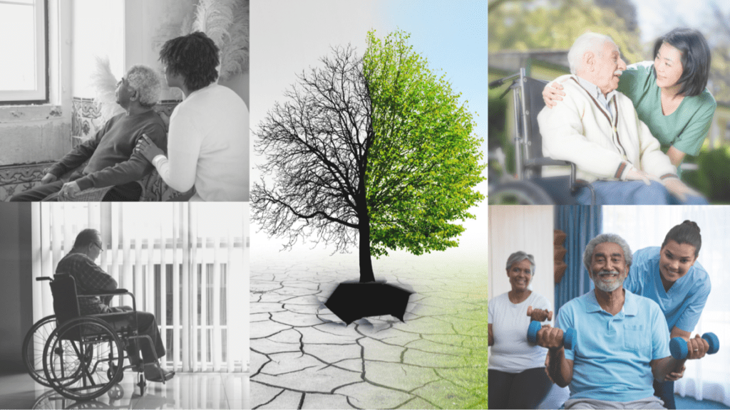 LongTerm Care Reform 2021 & Beyond NursingHome411