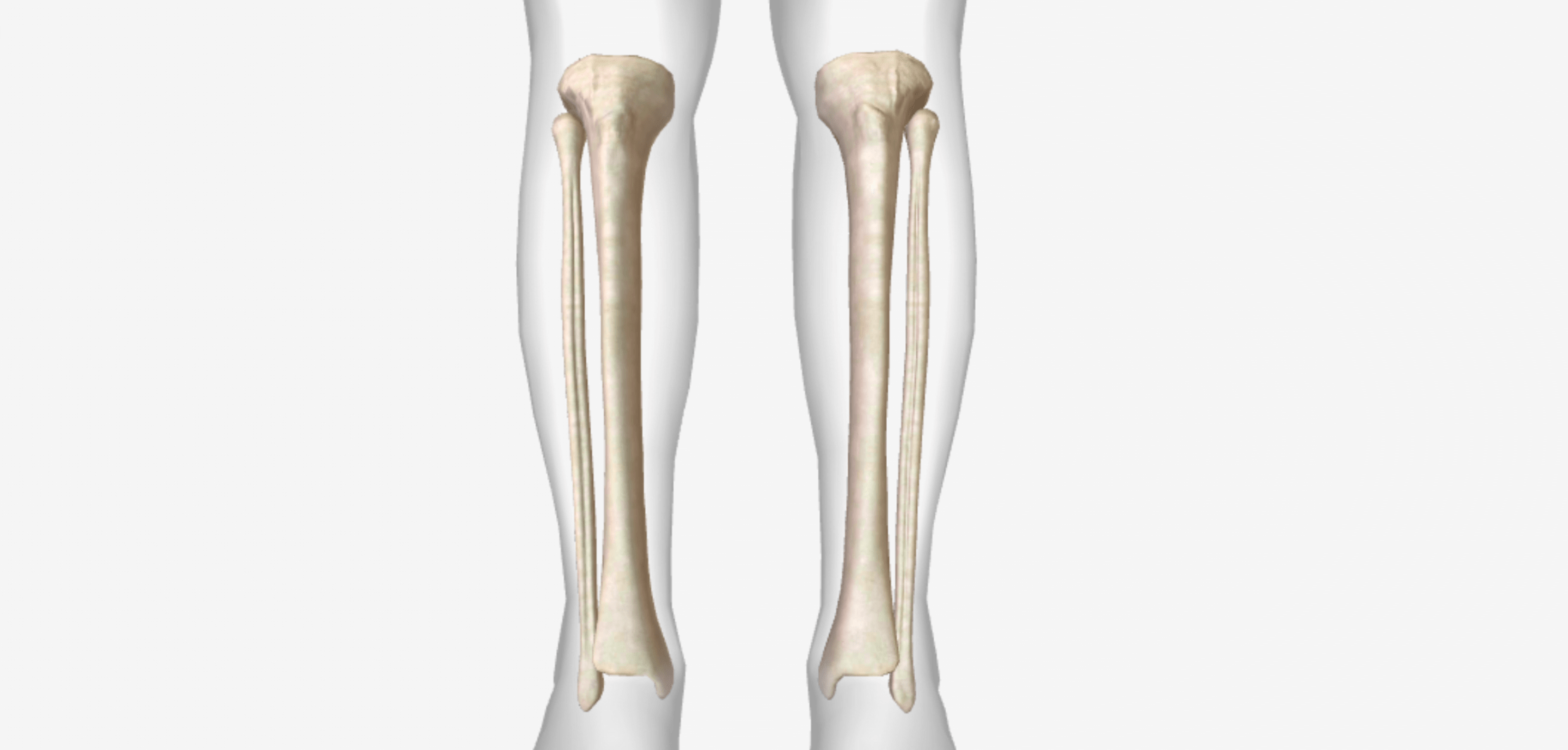 Tibia & Fibula NURSING LECTURE