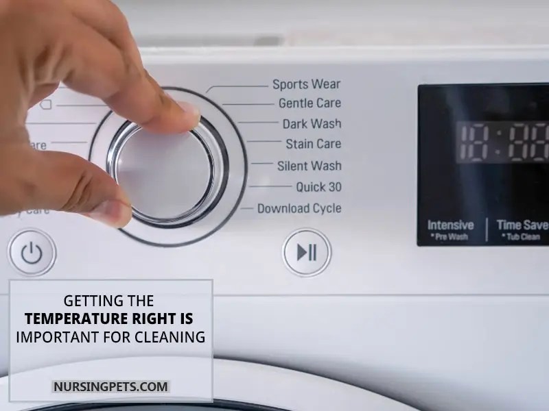 Why Do My Clothes Smell Like Cat Pee? Nursing Pets