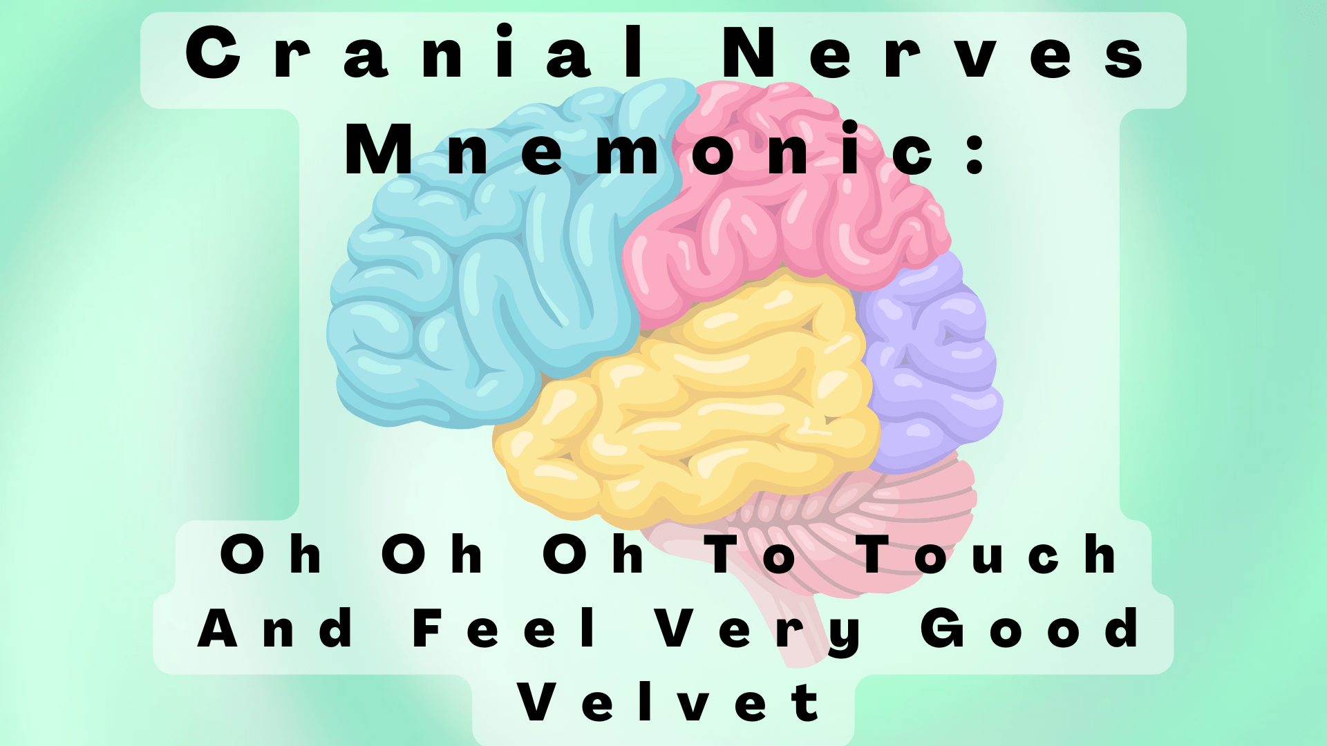 Cranial Nerves Mnemonic Oh Oh Oh To Touch And Feel Very Good Velvet