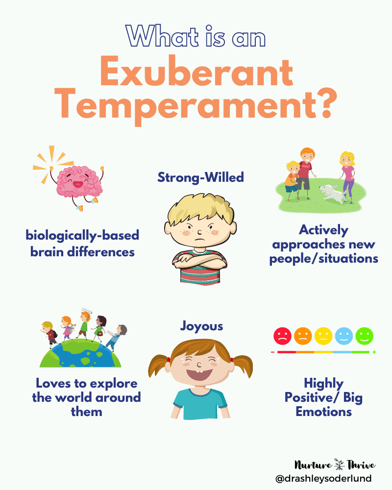 Four Things Psychologists Want You To Know About Your StrongWilled Child