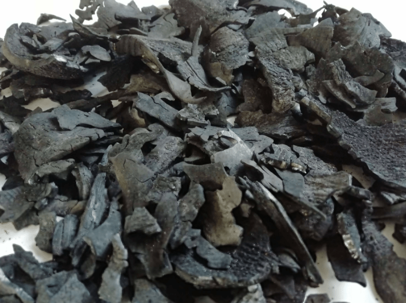 √ Coconut Shell Charcoal Uses and Benefits Nusagro