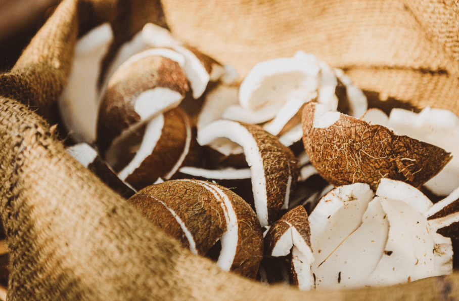 How To Make Copra Meal, A Mixture Of Animal Feed To Reduce Production