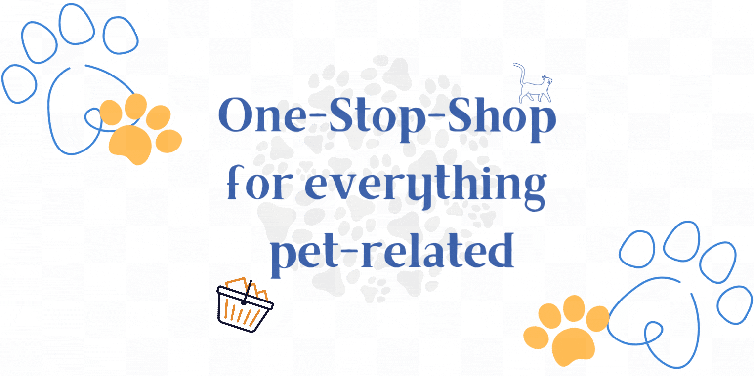 Homepage [nushura.github.io]