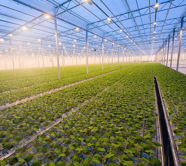 Horticulture NuStream Filtration