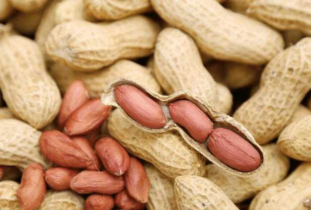 Web “peanut butter contains lots of oils and vitamins, which could be nourishing on the skin and easy to find in the kitchen,” says walsh. These polyphenols are mainly concentrated in the. Is the red skin of peanuts good for you Taizy Machinery