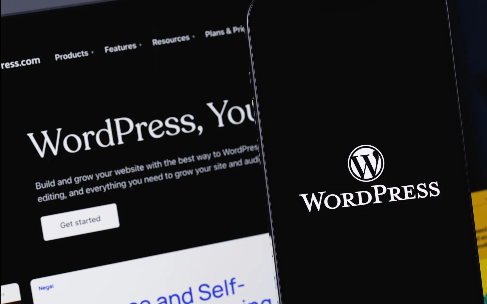 WP Engine vs WordPress: What It Means for Businesses - Nutcracker