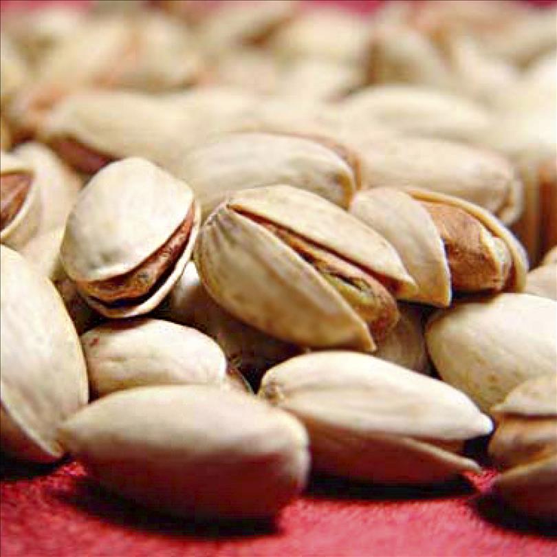 Wholesale price of pistachios in Istanbul _ Nutex Trading Nutex Group