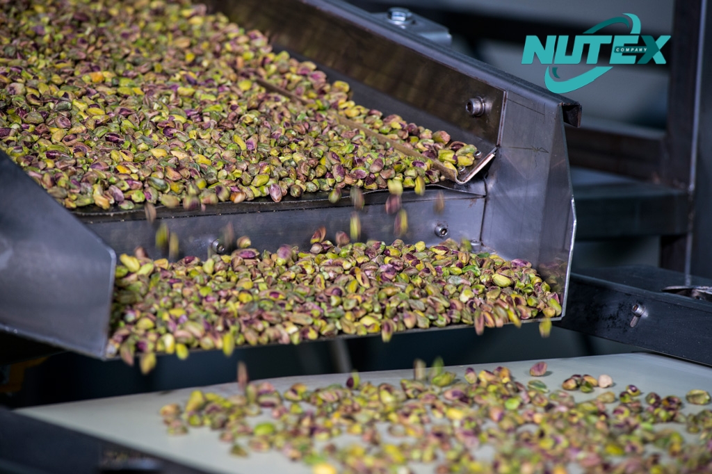 Pistachio Kernel Production Factory in Iran Nutex Group Nuts and