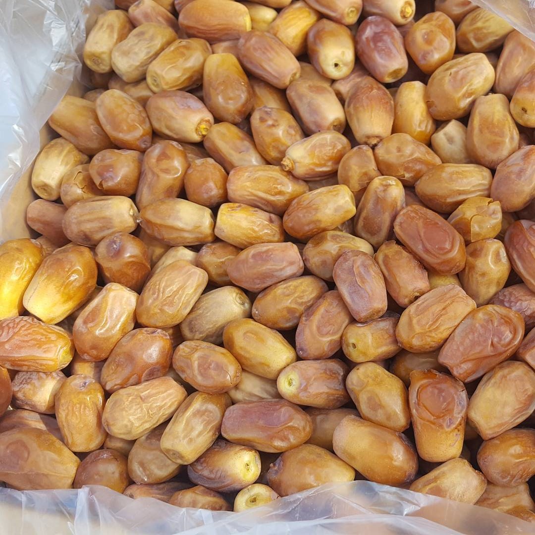 Zahdi Dates Price Zahedi Date Exporter Major Dates Manufacturer