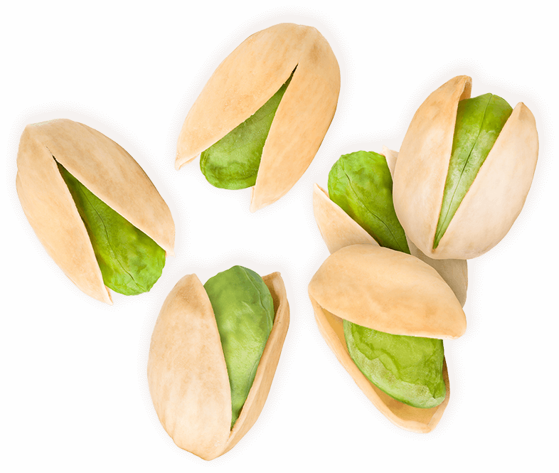 Pistachio prices in the United States world supply of pistachios Nutex Group Nuts and