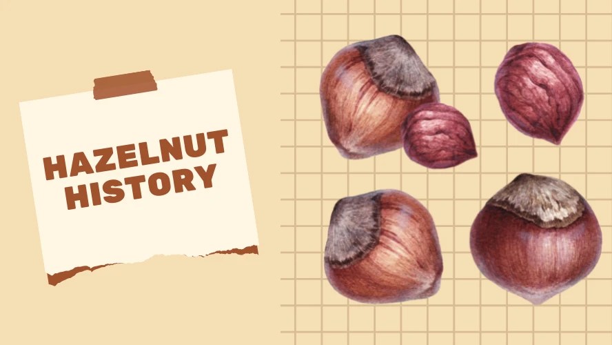The History of Hazelnuts Nut Geeks