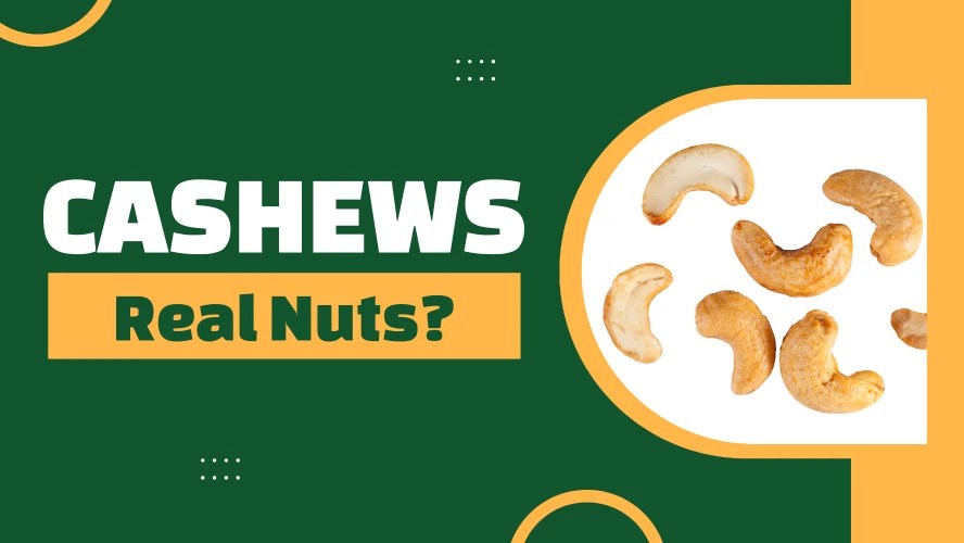 Are Cashews True Nuts? The Botanical Truth Nut Geeks