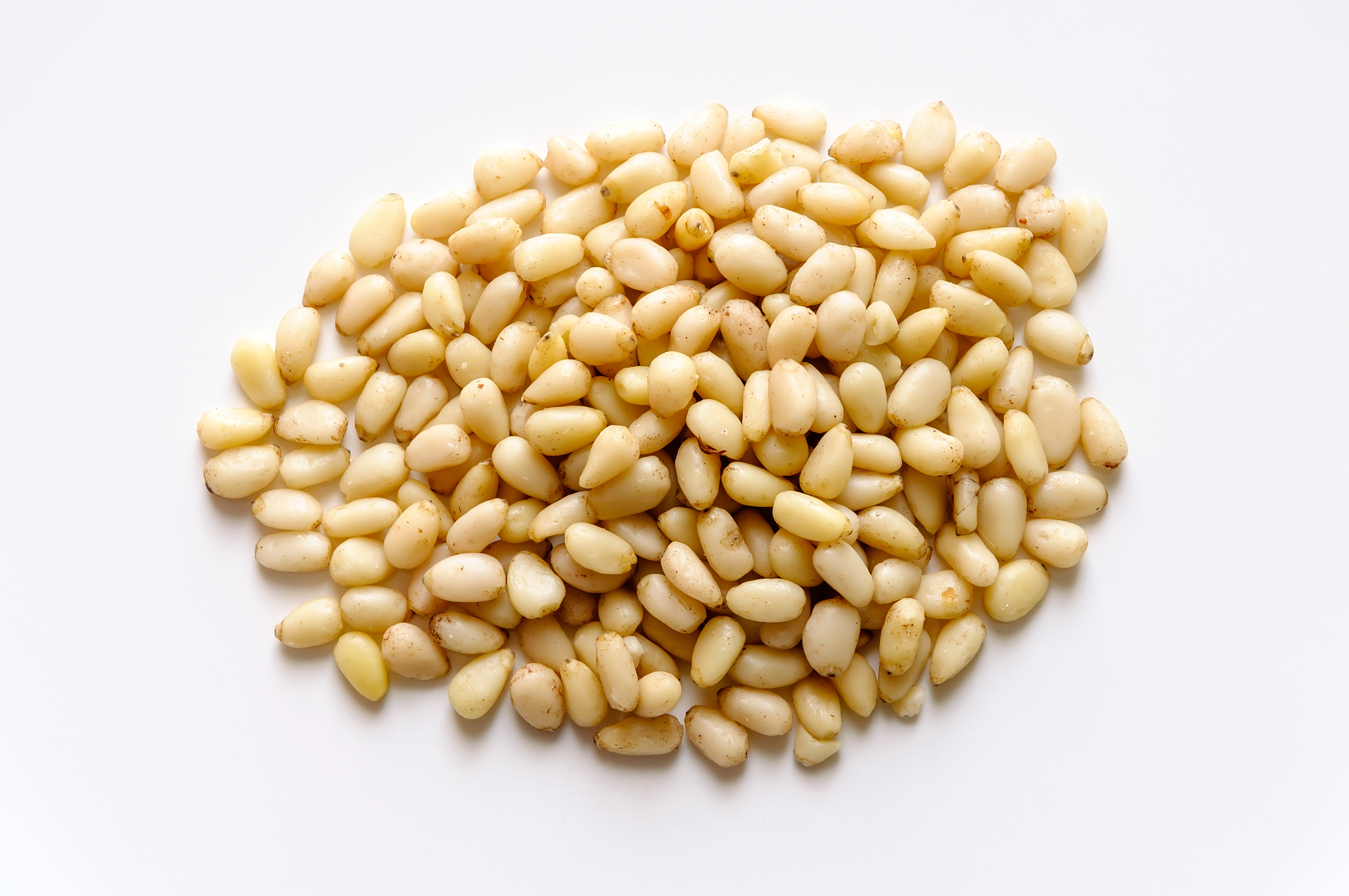 Pine nuts NutraWiki