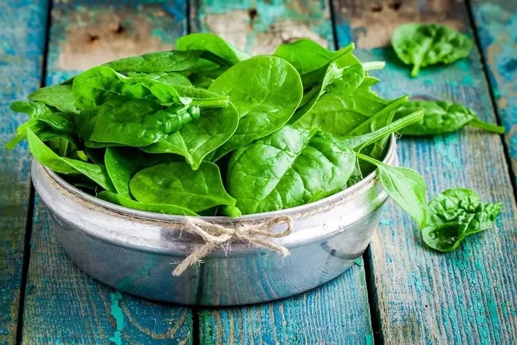Zinc for Bodybuilding Benefits, Side Effects, and Dosage