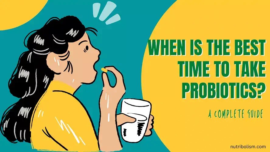 When Is the Best Time to Take Probiotics and How to Take It?