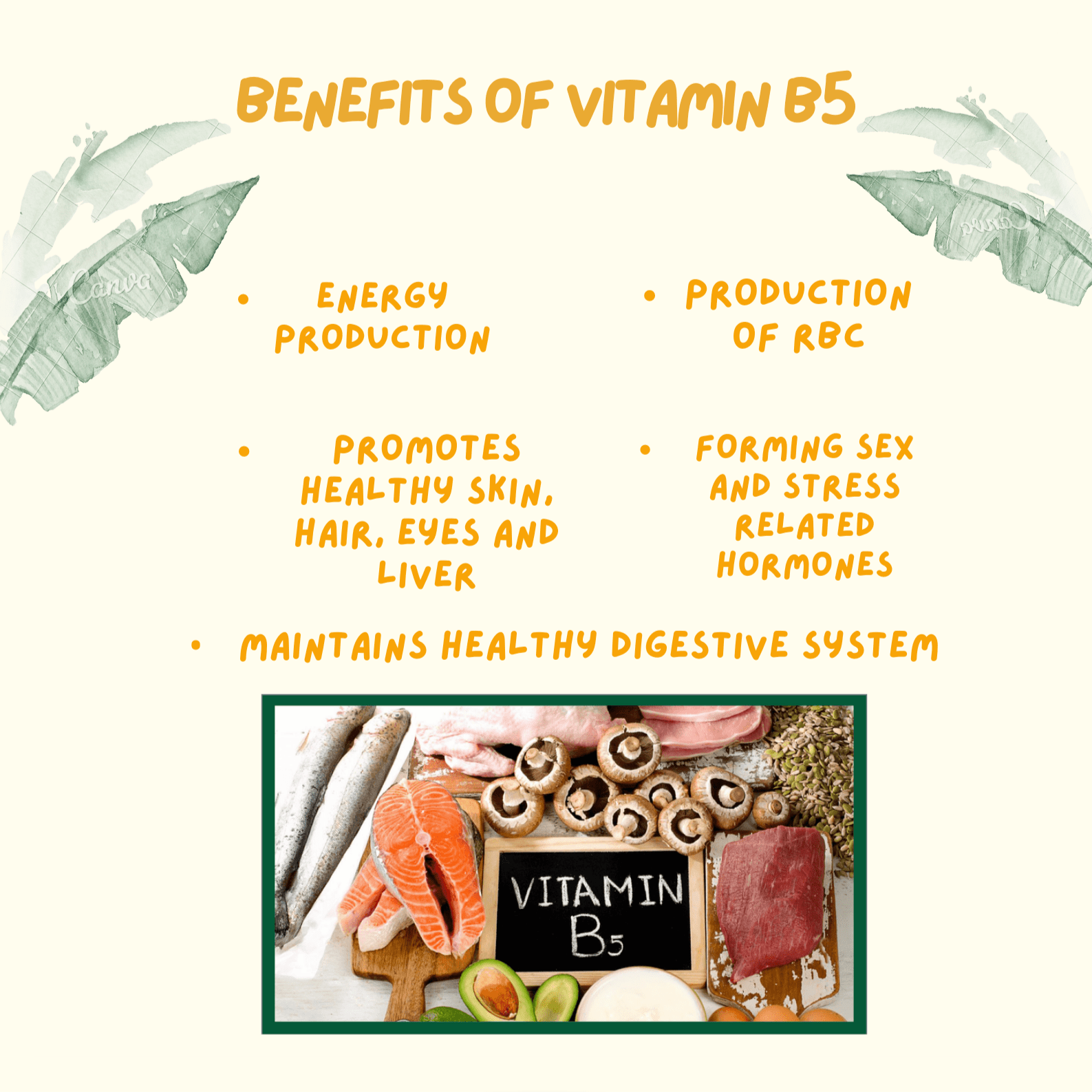 Vitamin B5 Benifits Source Deficiency Toxicity Nutribs