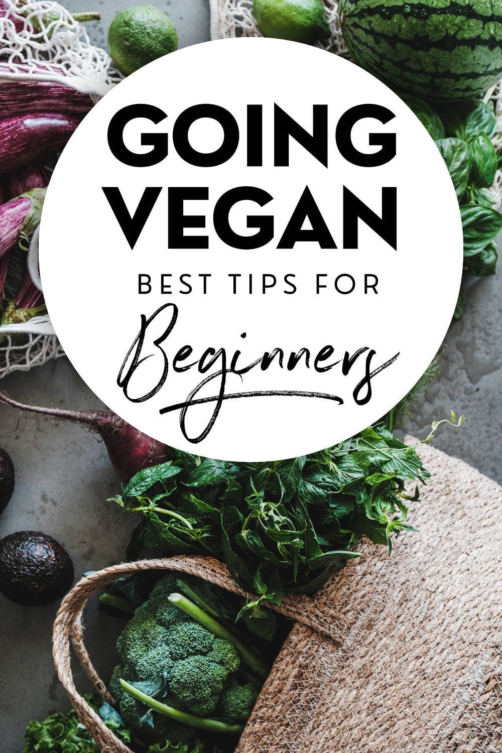 12 Tips On How To Start A PlantBased Diet Nutriciously