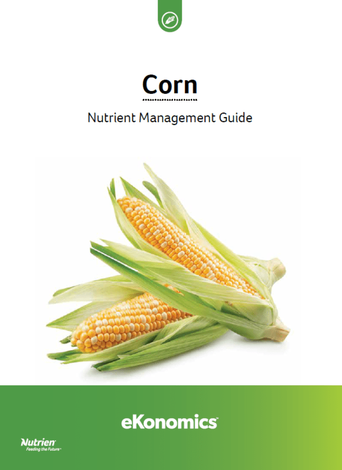 Corn Nutrient Management Guide