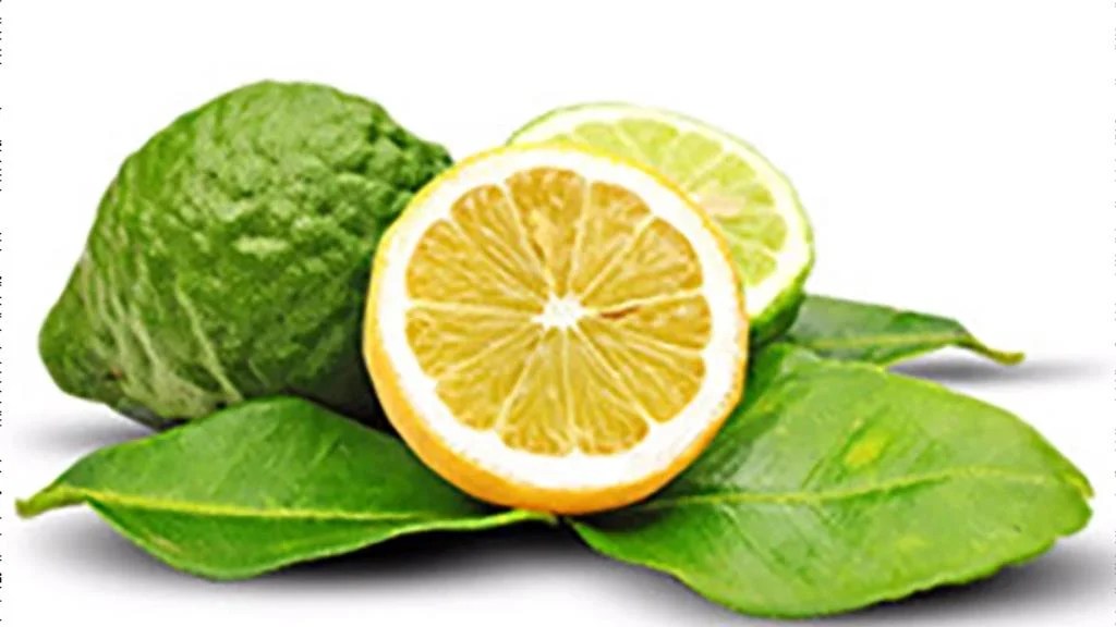 7 Potential Health Benefits of Citrus Bergamot Nutrient Journal