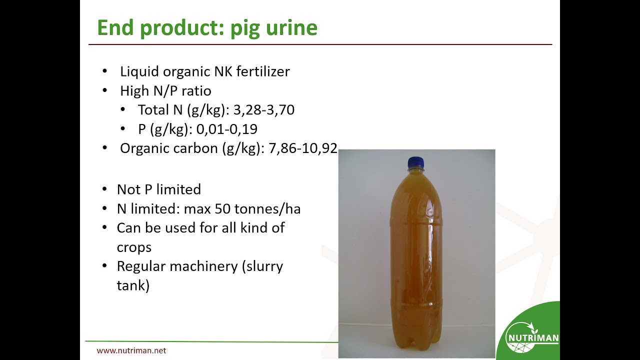 Urine from pig manure by "VeDoWS" adapted stable construction system