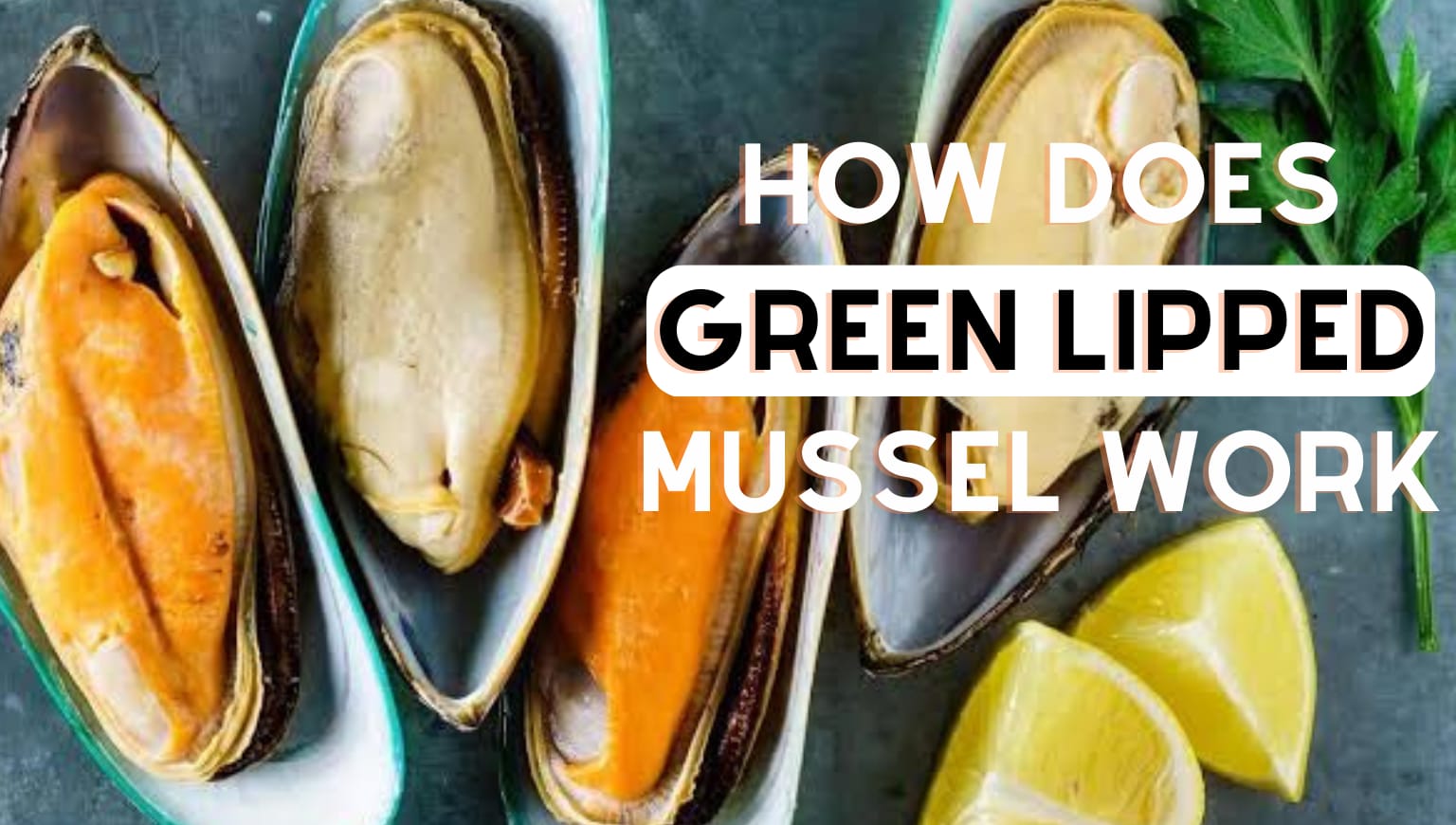 How Does Green Lipped Mussel Work? NutriNZ