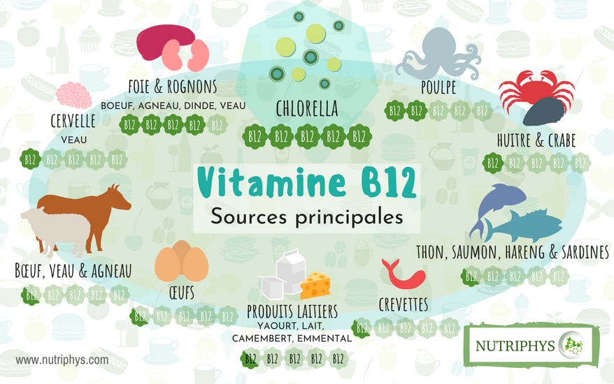 La chlorella, source naturelle de vitamine B12 Nutriphys
