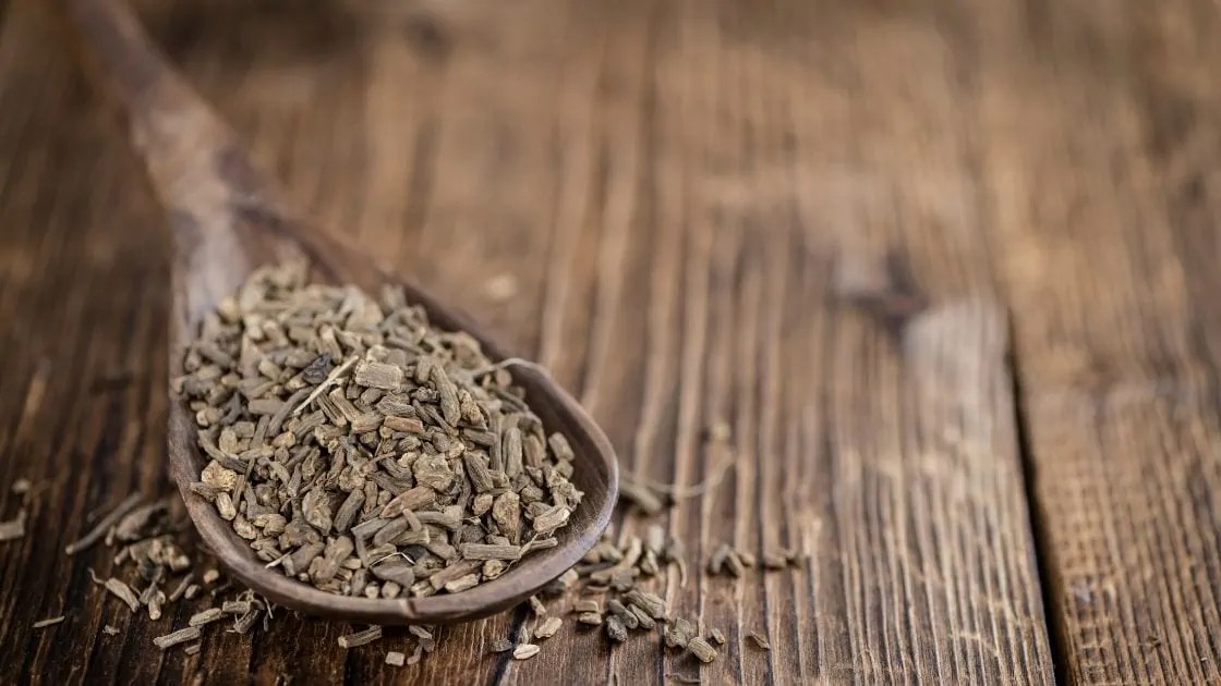 Understanding Side Effects of Valerian Root A Guide