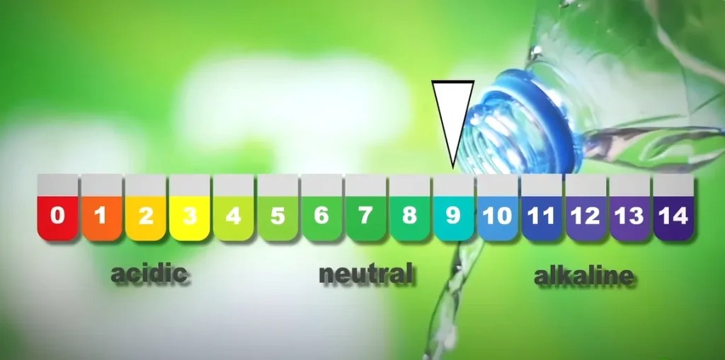 Refreshing World of Non Acidic Beverages for Acid Reflux