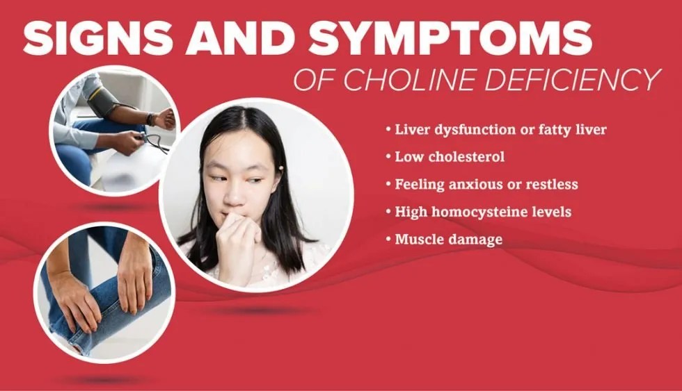 Pure Choline NutriRestore