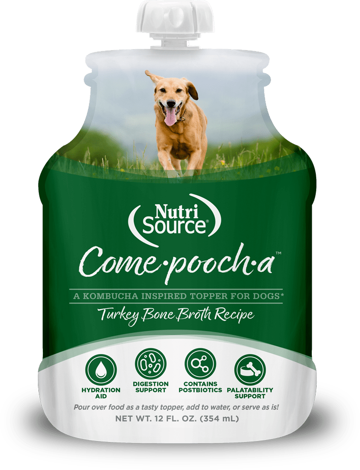 Turkey Bone Broth Recipe Bone Broth for Dogs NutriSource Pet Foods