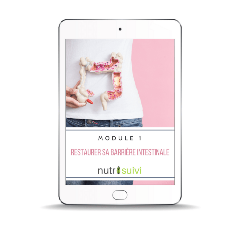 La barrière intestinale, le rempart de votre santé NutriSuivi