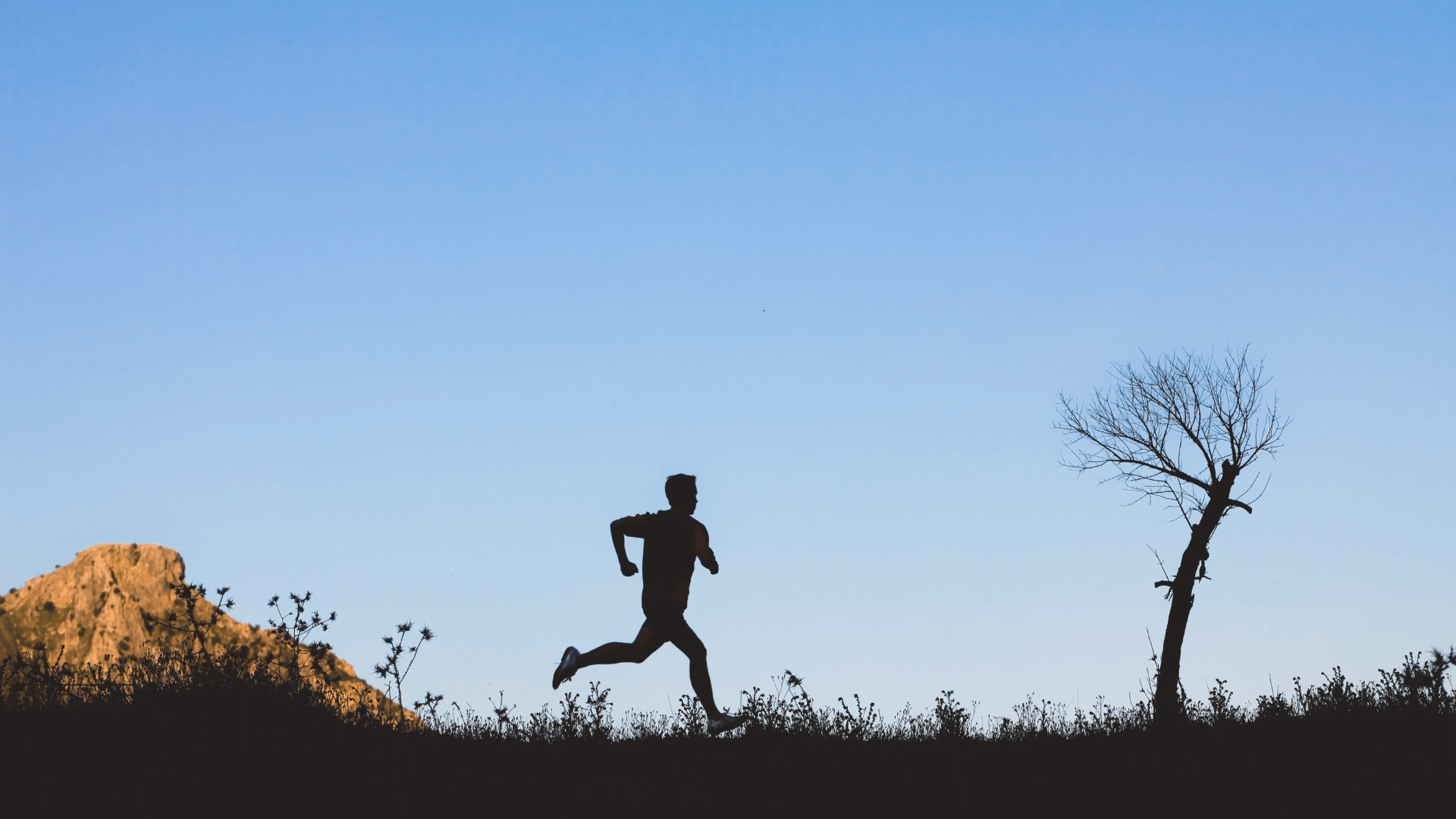 Yes, even endurance athletes should take creatine. Nutritional Revolution