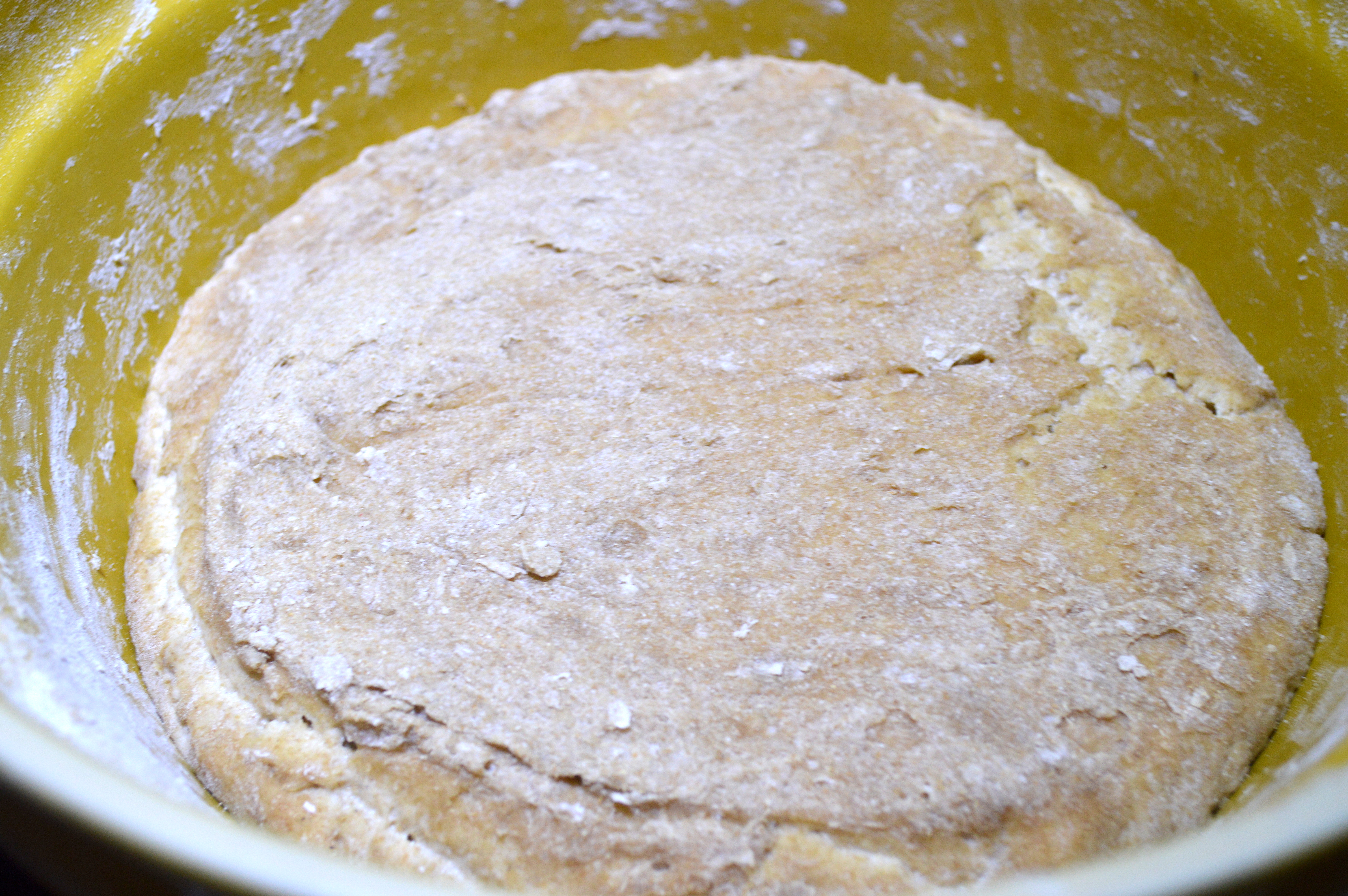 First Sourdough Dough Rise 2 nutritionbitsandbobs