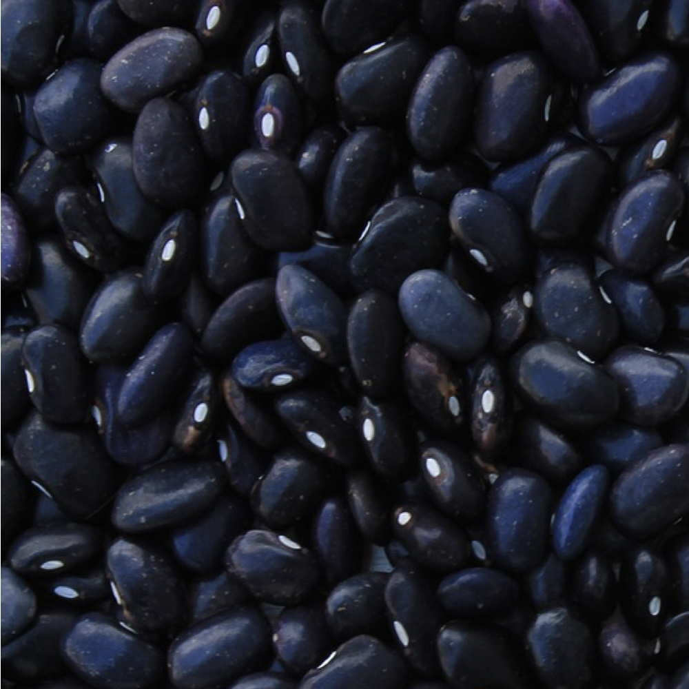 black beans Health Topics