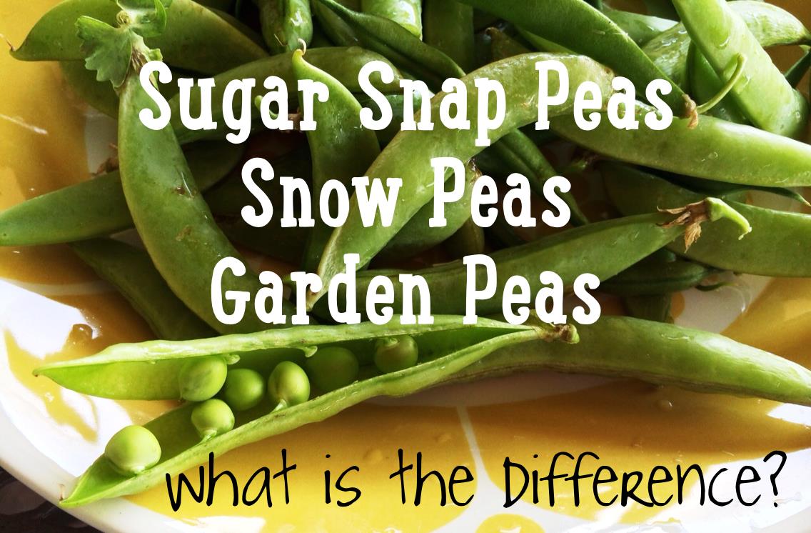 Peas What is the difference?