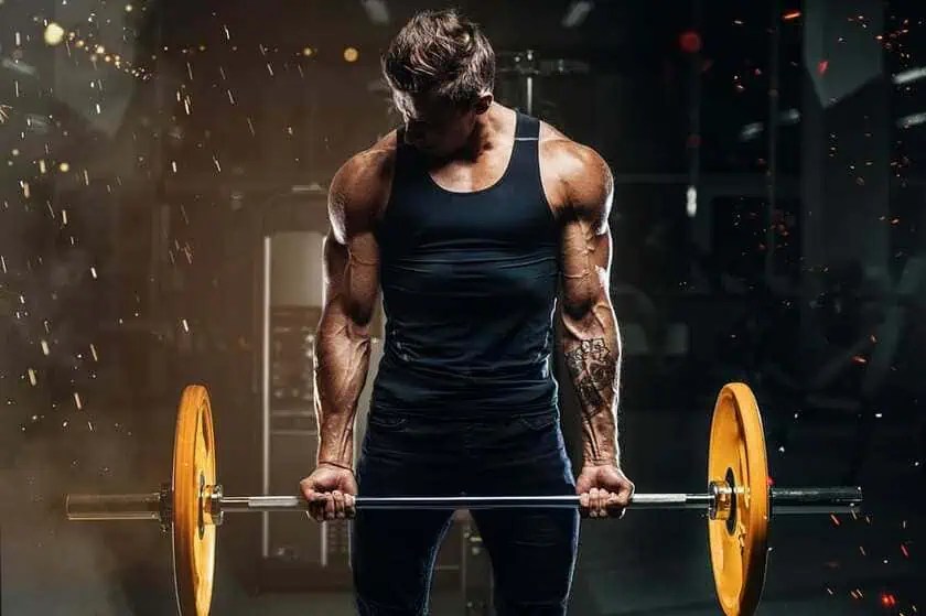 How Can You Build Muscles and Lose Fat at the Same Time
