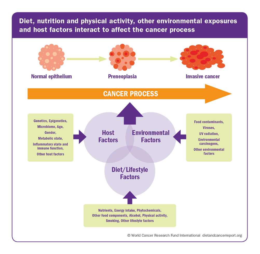 Cancer The Nutrition Source