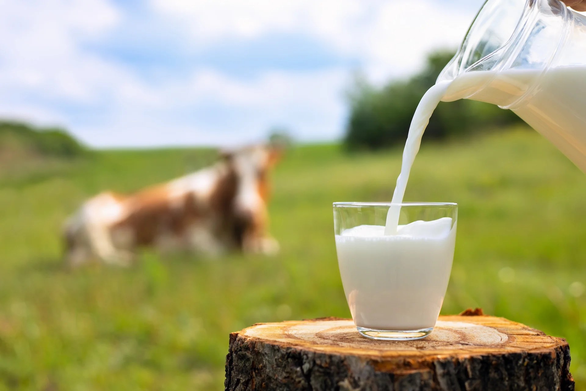 Milk - The Nutrition Source