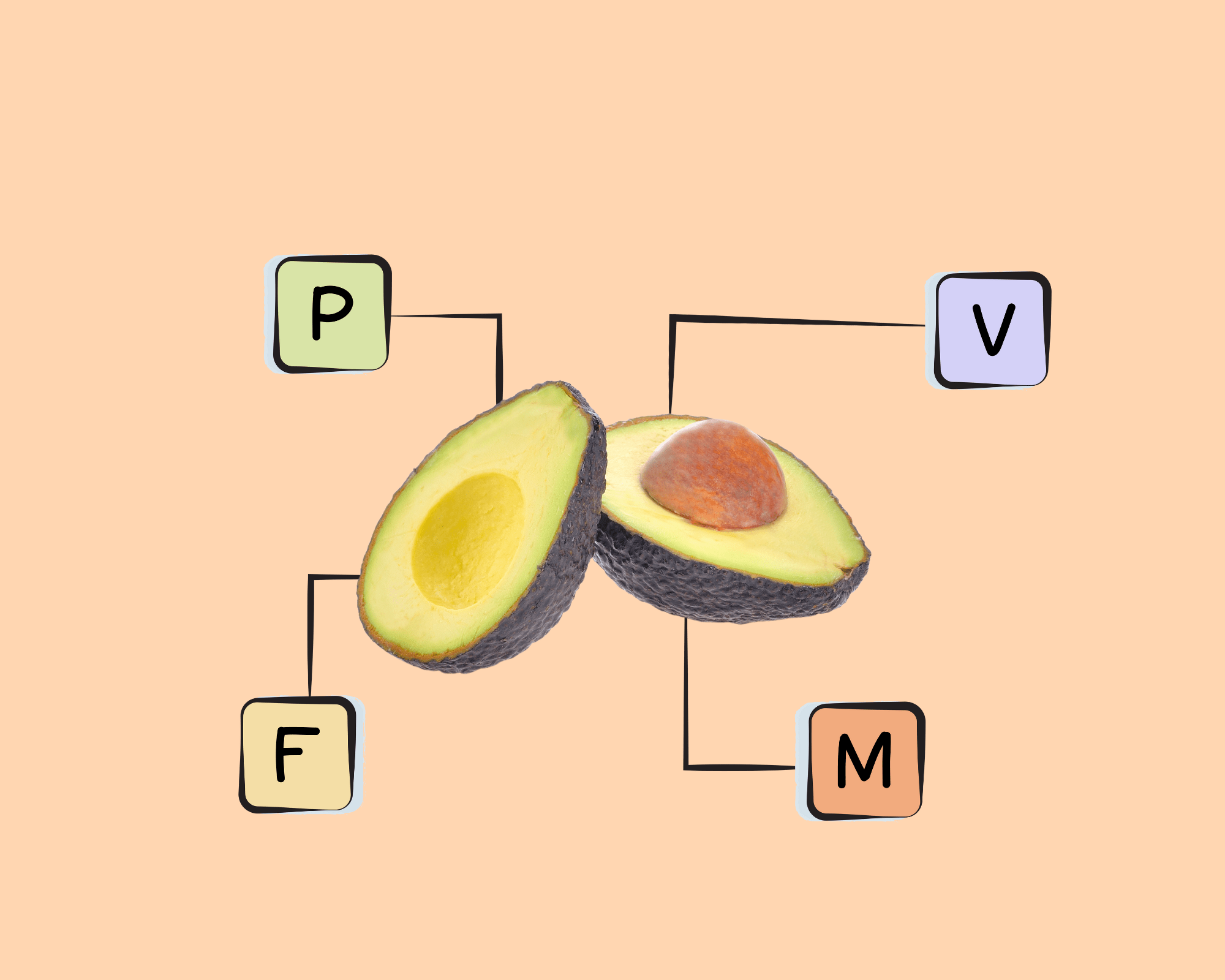 California Avocado Nutrients