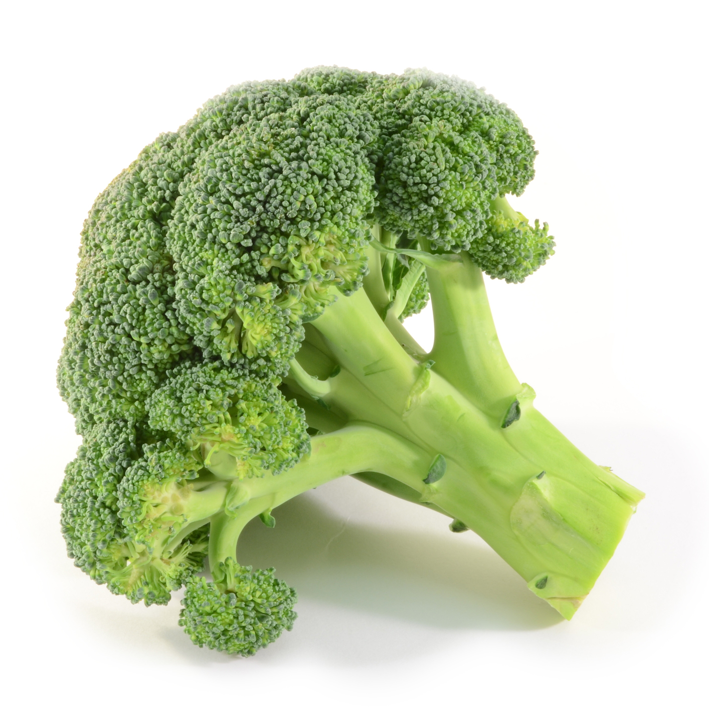 Broccoli Nutrients