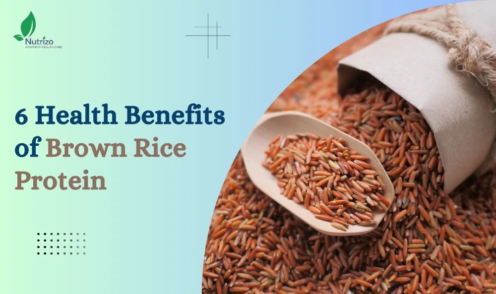 Discover the Benefits of Brown Rice Protein Fuel Your Body Naturally