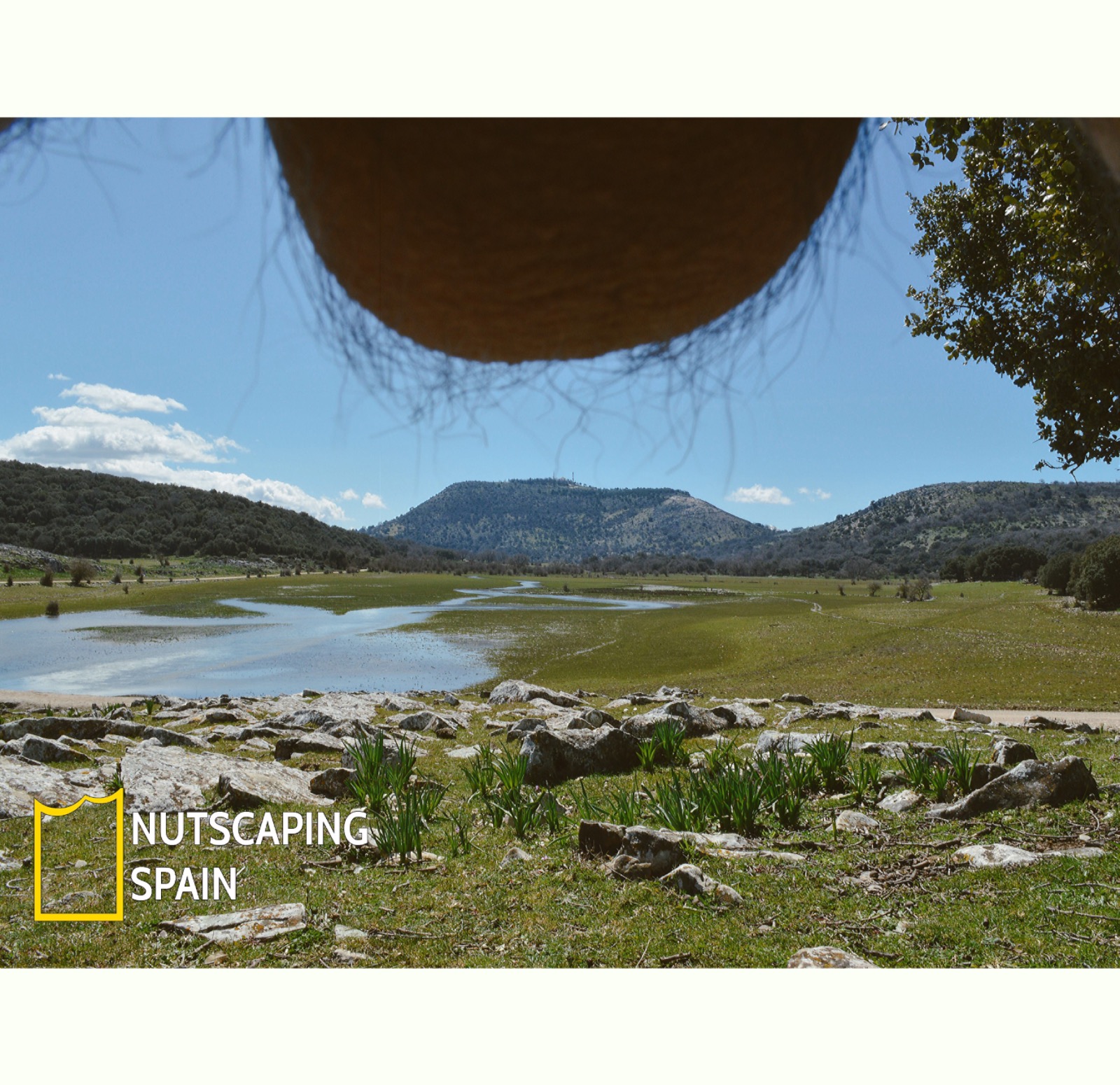 Nuts Nutscaping Spain